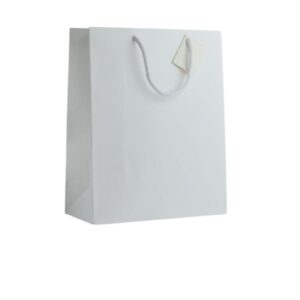 SACS CARTONNÉS BLANCS